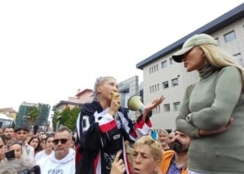 Hayvanseverlerden Gebze Belediyesi’ne Protesto: Sokak Hayvanları Katliamı