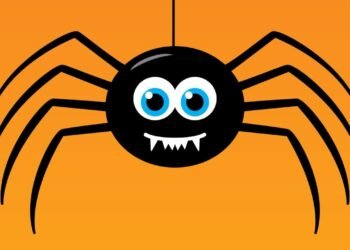 Örümceklerin Kalp Sağlığı Üzerindeki Etkisi: Hi1a Proteini ve Kalp Krizi Tedavisi