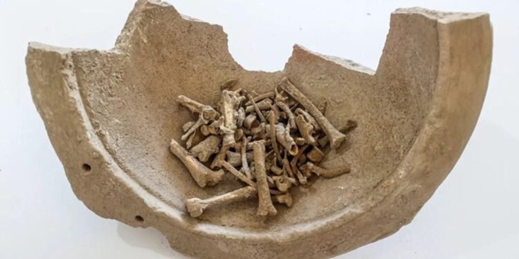 Selçuk Üniversitesi’nde Savatra Antik Kenti Kazı Çalışmaları