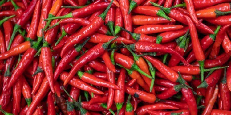 Baharatlı Yiyeceklerin Vücuda Etkileri ve Kapsaisin