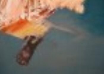 Özge Gökbulut Özdemir’in ‘Bir Sokak Kedisi’ Sergisi