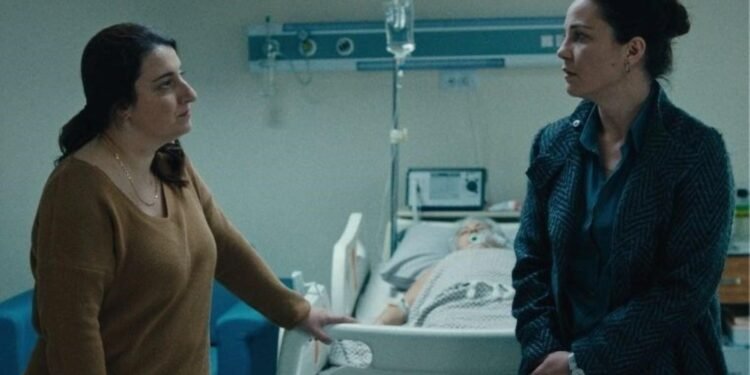 Tereddüt Çizgisi: Festival Başarısı ve Ödüller