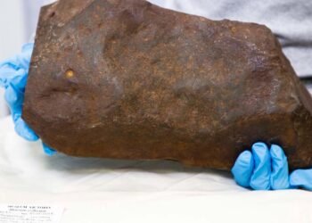 2015 Yılında Bulunan Nadir Meteor: Maryborough Meteoriti