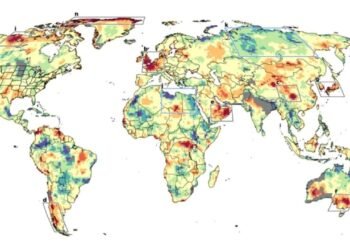 2024 Yılında İklim Değişikliği ve Sıcak Hava Dalgaları