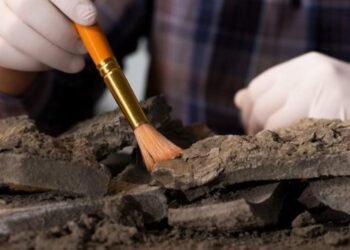 2024 Yılının En Önemli 10 Arkeolojik Keşfi