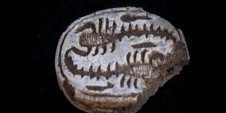 3.500 Yıllık Antik Mısır Muskası Tel Aviv’de Bulundu