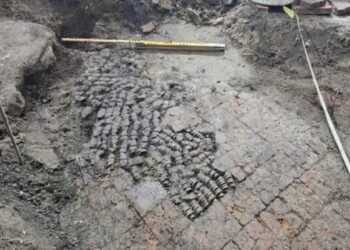 Alkmaar’da Hayvan Kemikleriyle Kaplı Zemin Bulundu