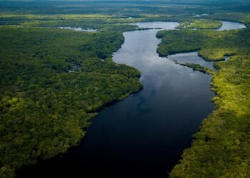 Amazon Nehri’nde Köprü Eksikliği ve Altyapı Zorlukları