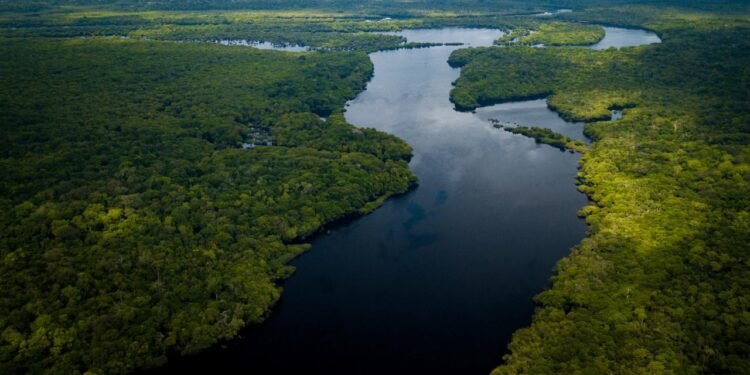 Amazon Nehri’nde Köprü Eksikliği ve Altyapı Zorlukları
