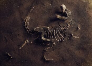 Dinozorların Yok Oluşunda Asteroit Çarpmasının Rolü