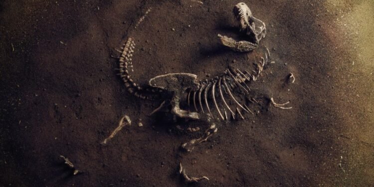 Dinozorların Yok Oluşunda Asteroit Çarpmasının Rolü