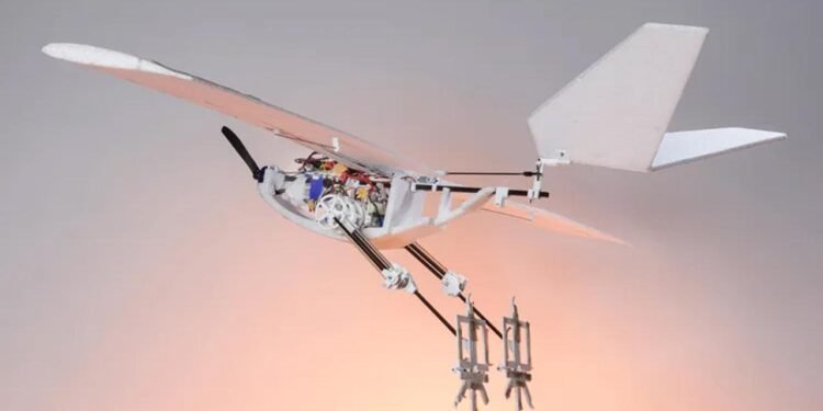 EPFL ve UC Irvine’den Kuş İlhamlı Yenilikçi Dron Geliştirme Projesi