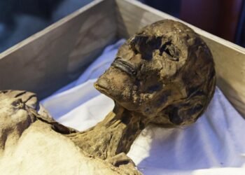 Eski Mısır’da Veba: Antik Mumyada Yersinia pestis Kanıtları