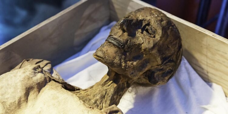 Eski Mısır’da Veba: Antik Mumyada Yersinia pestis Kanıtları