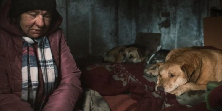 Hangi İnsan Hakları? Film Festivali Pera Müzesi’nde