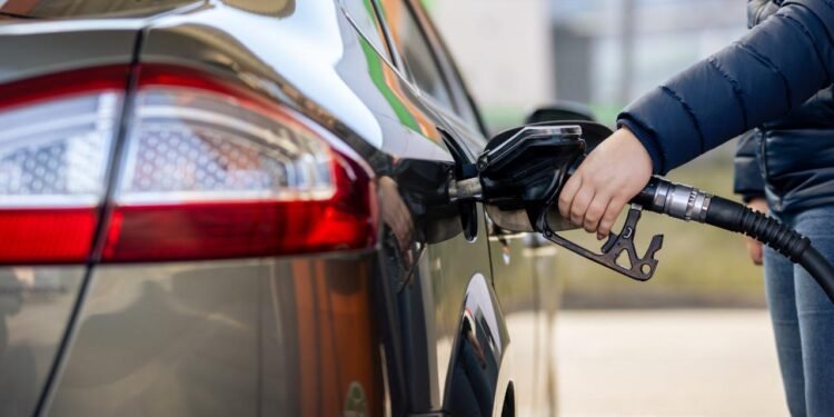 Kurşun Maruziyetinin Psikiyatrik Bozukluklarla İlişkisi