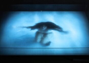 PlumeMag’tan ‘Var Kalma Pratikleri’ Sergisi İstanbul’da Açıldı