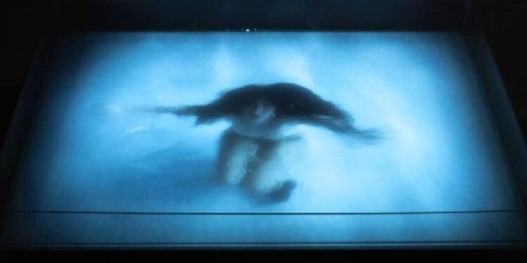 PlumeMag’tan ‘Var Kalma Pratikleri’ Sergisi İstanbul’da Açıldı