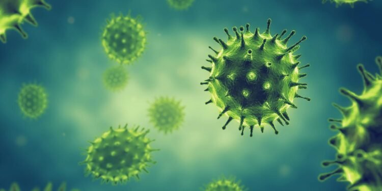 Queensland’de Virüs Örneklerinin Kaybı Üzerine Endişeler