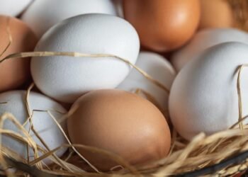 Yumurtaların Buzdolabında Saklanması: Doğru Yöntemler ve Süreler
