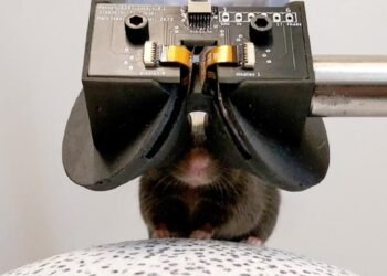 Fareler için Sanal Gerçeklik: MouseGoggles Teknolojisi