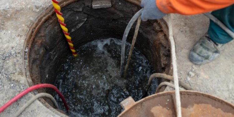 Yağ Dağları: Çevresel Sorun ve Bakterilerin Rolü