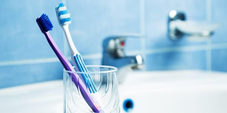 Diş Fırçalarının Doğru Kullanımı ve Hijyen İpuçları