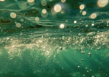 Dünya Okyanuslarındaki Renk Değişimi ve Siyanobakterilerin Rolü