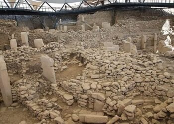 Göbeklitepe’de Yenileme Çalışmaları ve Zeytin Ağaçlarının Taşınması