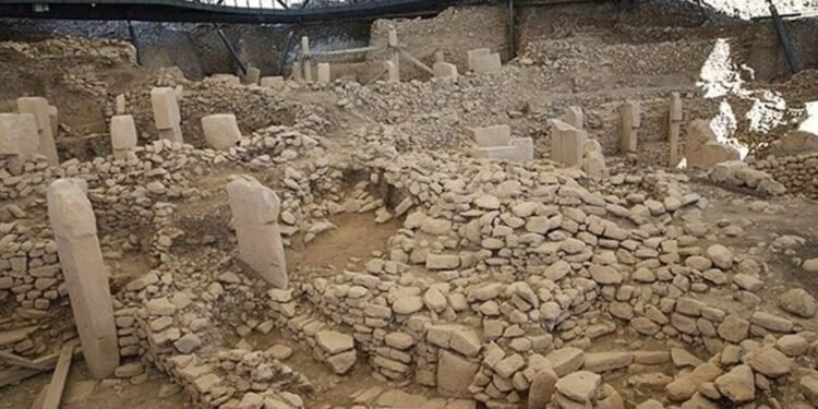 Göbeklitepe’de Yenileme Çalışmaları ve Zeytin Ağaçlarının Taşınması