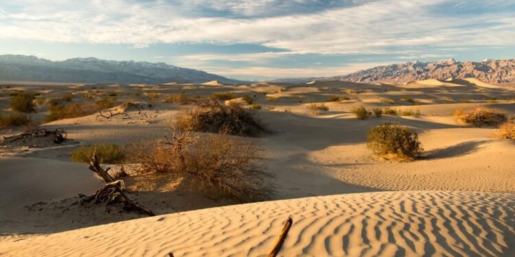 İklim Değişikliği ve Avrupa’da Aşırı Sıcakların Ölüm Oranlarına Etkisi