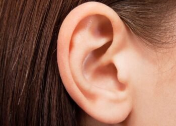 İnsanların Kulak Kasları ve Duyma Yeteneği Üzerine Yeni Araştırmalar