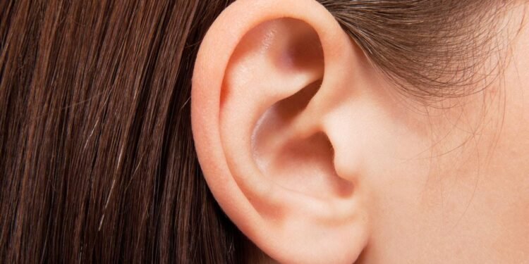 İnsanların Kulak Kasları ve Duyma Yeteneği Üzerine Yeni Araştırmalar