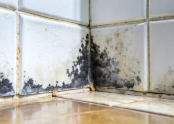 Küf ile Mücadele: Sağlığınızı Korumanın Yolu