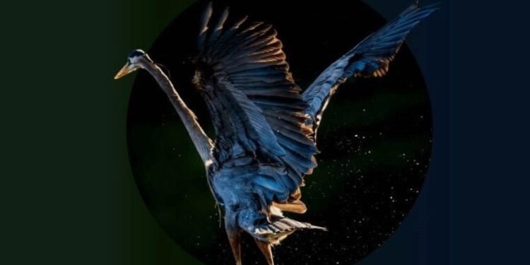 Veszprém’de Doğa ve Sürdürülebilirlik Temalı Festival