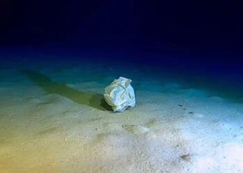 Akdeniz’deki Çöp Tehlikesi: Calypso Çukuru’nda Tespit Edilen Atıklar