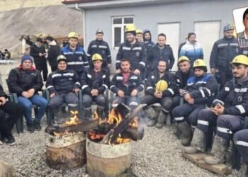 Çayırhan Termik Santralı Özelleştirme İhalesi ve İşçi Tepkileri