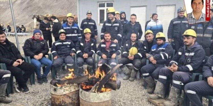 Çayırhan Termik Santralı Özelleştirme İhalesi ve İşçi Tepkileri