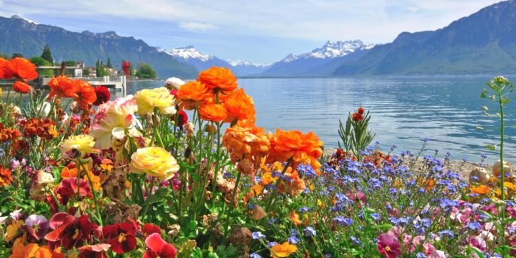 Kabak Çiçeği Dolması ve Geleneksel Türk Lezzetleri