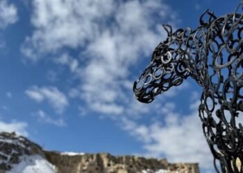 Kapadokya’nın At Müzesi: Kültürel Miras ve Sanatın Buluşması