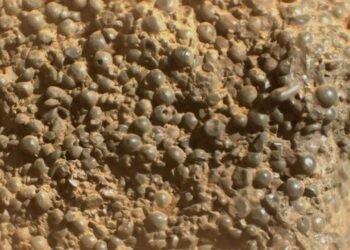 NASA’nın Perseverance Aracının Mars’taki Önemli Keşifleri