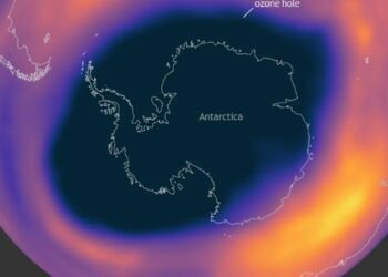 Ozon Tabakası Mücadelesinde Tarihi Zafer: İyileşme Başladı