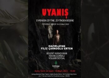 Uyanış: Zeytin Ağacının Ölümsüzlüğü Sergisi