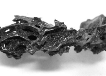 Vezüv Yanardağı’nın Patlamasında Camlaşan Beyin Dokusu