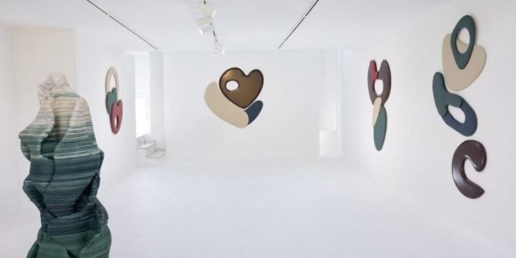 Zeytin Ağacının Bilgeliği: Cansu Sönmez’in ‘Soğuk Su Kadar Eski Bir Tat’ Sergisi