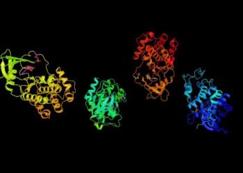 CDK7 Enziminin Kanser Araştırmalarındaki Rolü ve SY-5609’un Etkileri