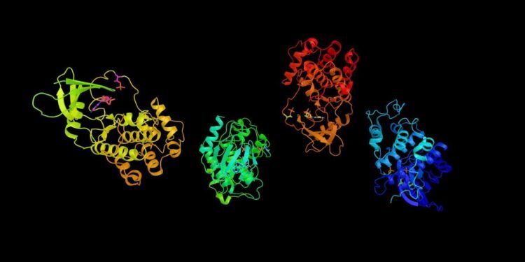 CDK7 Enziminin Kanser Araştırmalarındaki Rolü ve SY-5609’un Etkileri