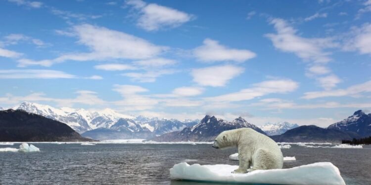 Kuzey Buz Denizi’nde Rekor Düşük Buz Örtüsü Seviyesi