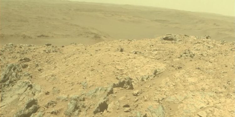 Mars’ın Kolonizasyonu için Likenler: Yeni Umutlar