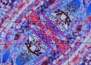 Şaşırt Beni İstanbul Sergisi